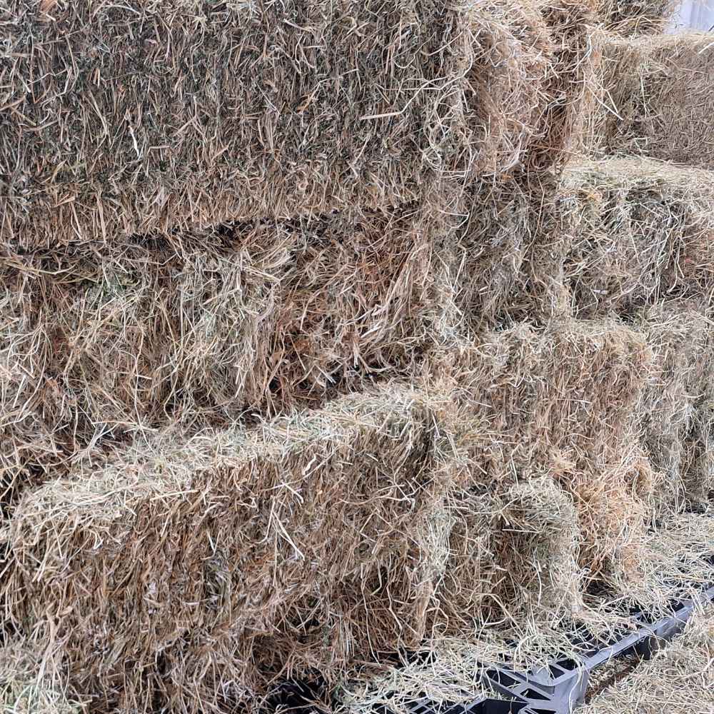 Close-up of a bale of hay on a black pallet.
