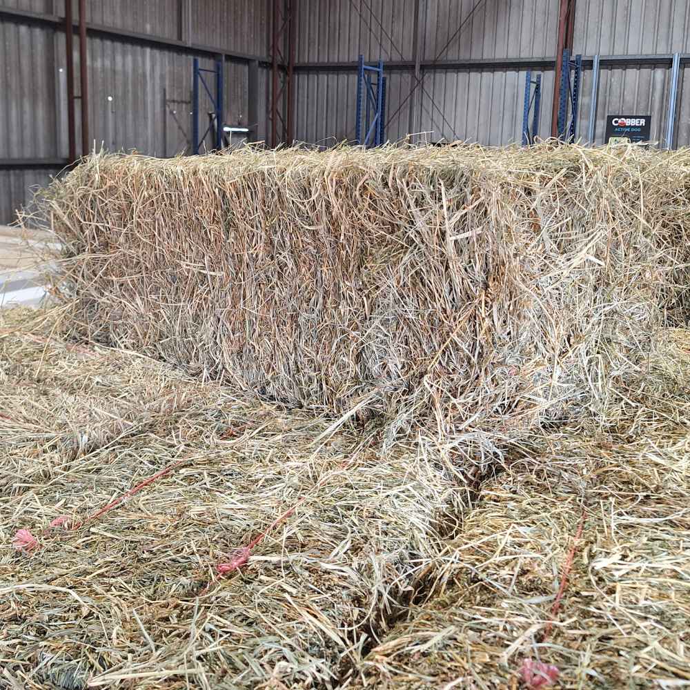 Bale of hay in a shed setting