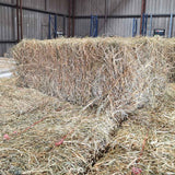 Bale of hay in a shed setting