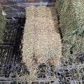 Prime lucerne chaff hay bale on a black plastic tray