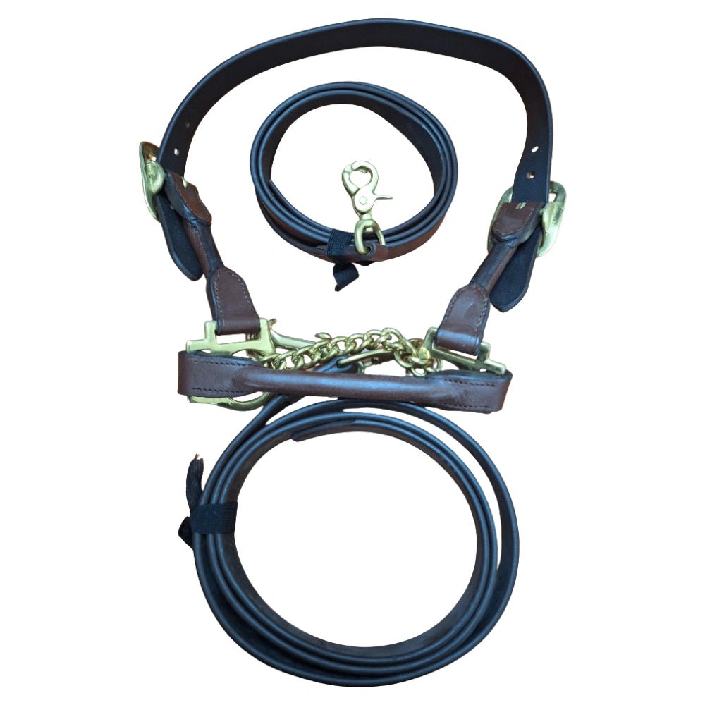 13068- Animal Accessories-Leather Cattle Show Halter with Lead-Brown & Brass-Medium- Austral Ag