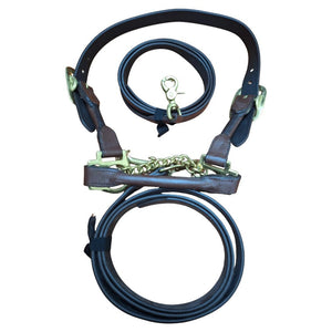 13068- Animal Accessories-Leather Cattle Show Halter with Lead-Brown & Brass-Medium- Austral Ag