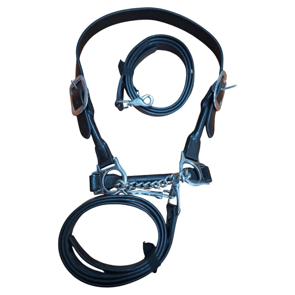 13071- Animal Accessories-Leather Cattle Show Halter with Lead-Black & Silver-Small- Austral Ag