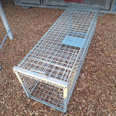 Metal fox trap on a wood chip mulch surface