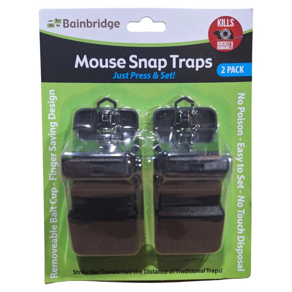 13307- Hardware-Press & Set Mouse Trap - 2 Pack - Austral Ag