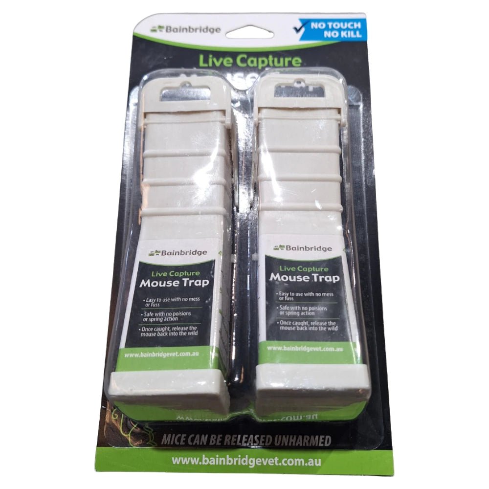 13311- Hardware-Live Capture Mouse Traps - Small - 2 Pack - Austral Ag