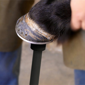 Close-up of a horse's hoof being examined with a hoof pick.