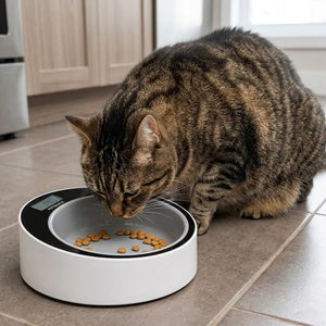 14345 - Animal Accessories - Smart Pet Bowl with Built In Digital Weighing Scale - Standard - Austral Ag