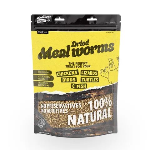 14500- Supplementation-Chicken Treat - Dried Mealworms-100g - Austral Ag