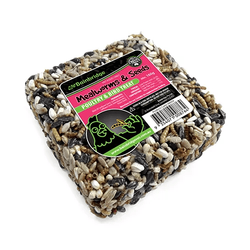 Treat Block Mealworms & Seeds Supplementation Bainbridge
