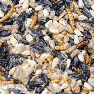 14506 - Supplementation - Chicken Treat - Flock Blocks with Dried Mealworms - Mealworms & Seeds - Austral Ag