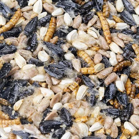 14506 - Supplementation - Chicken Treat - Flock Blocks with Dried Mealworms - Mealworms & Seeds - Austral Ag