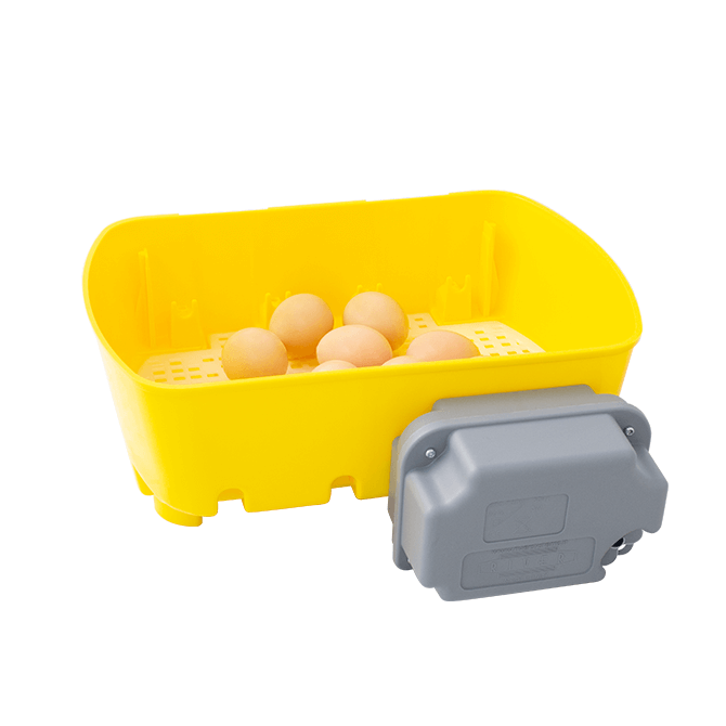 Yellow egg incubator with eggs on a white background