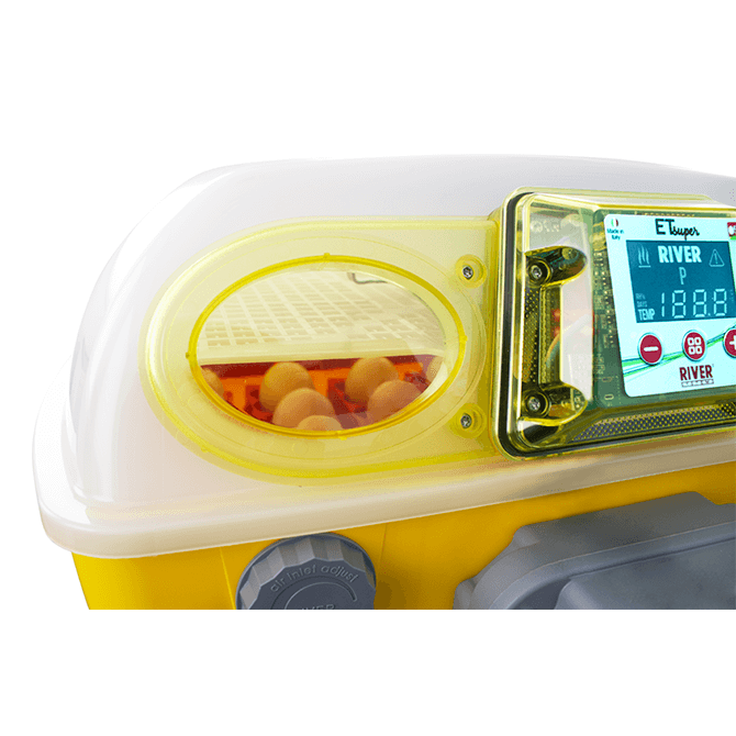 Yellow and gray electronic egg incubator with a digital display and eggs inside on a white background