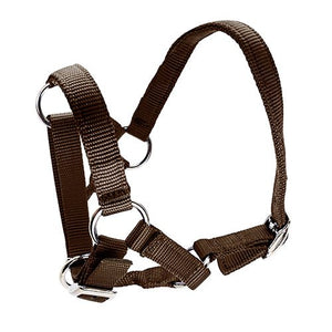 14903 - Animal Accessories - Halter for Alpacas - Brown - Austral Ag