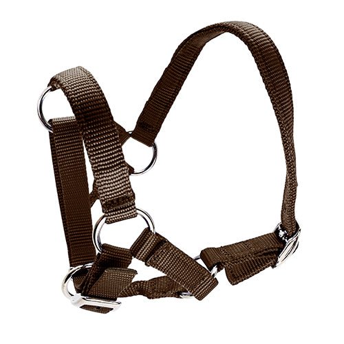 14903 - Animal Accessories - Halter for Alpacas - Brown - Austral Ag