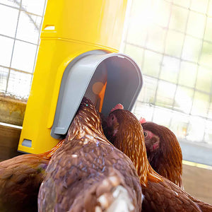 Bainbridge Chook Tower Feeder Animal Accessories Bainbridge Pty Ltd