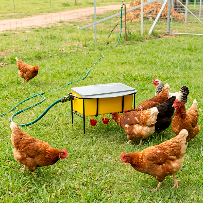 15440 - Animal Accessories - High Pressure Automatic Chook Waterer - Austral Ag