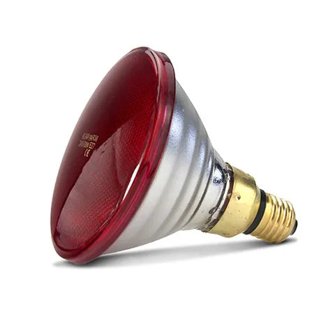 Infrared Heat Lamp Bulb 50W