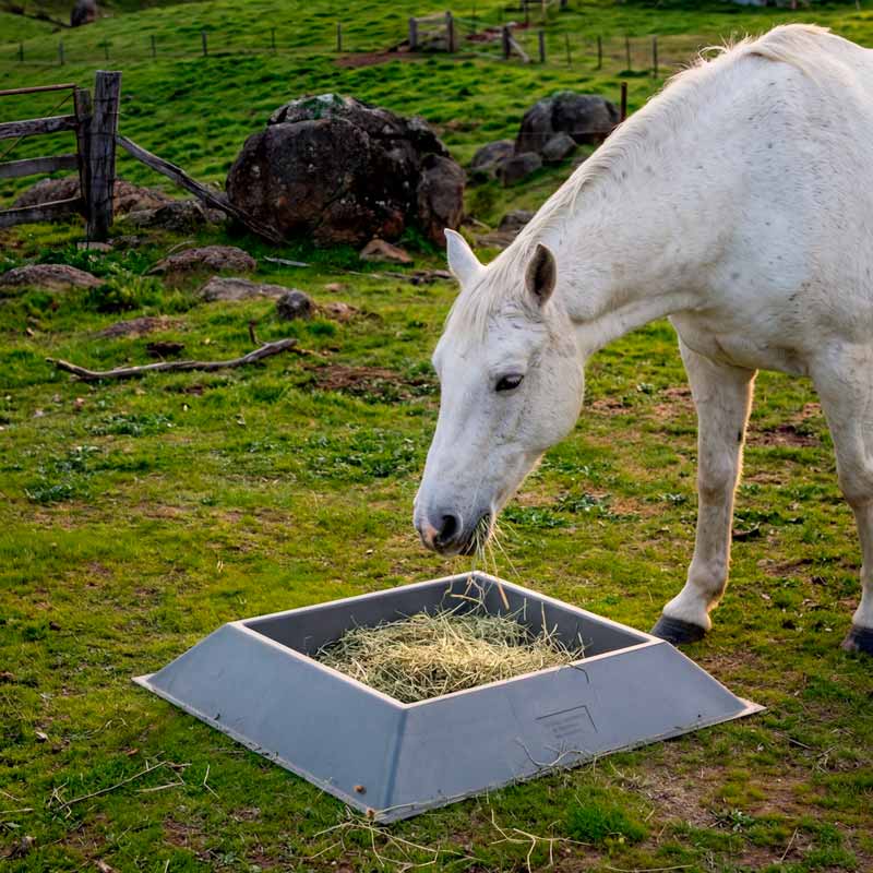 17949 - Animal Accessories - 25L "Can't Tip" Trough - Horse Feeder - Grey - Austral Ag