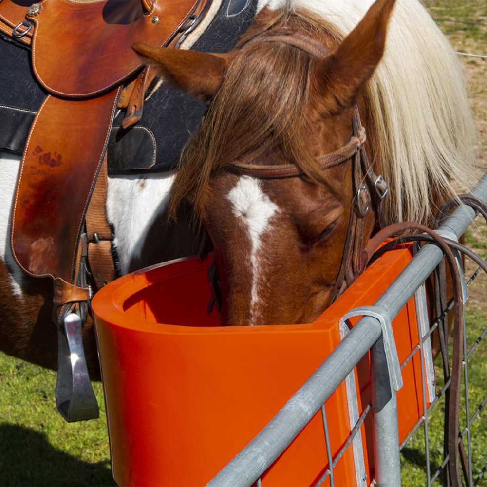Horse with a saddle eating from an orange d-shaped feed trough on grass