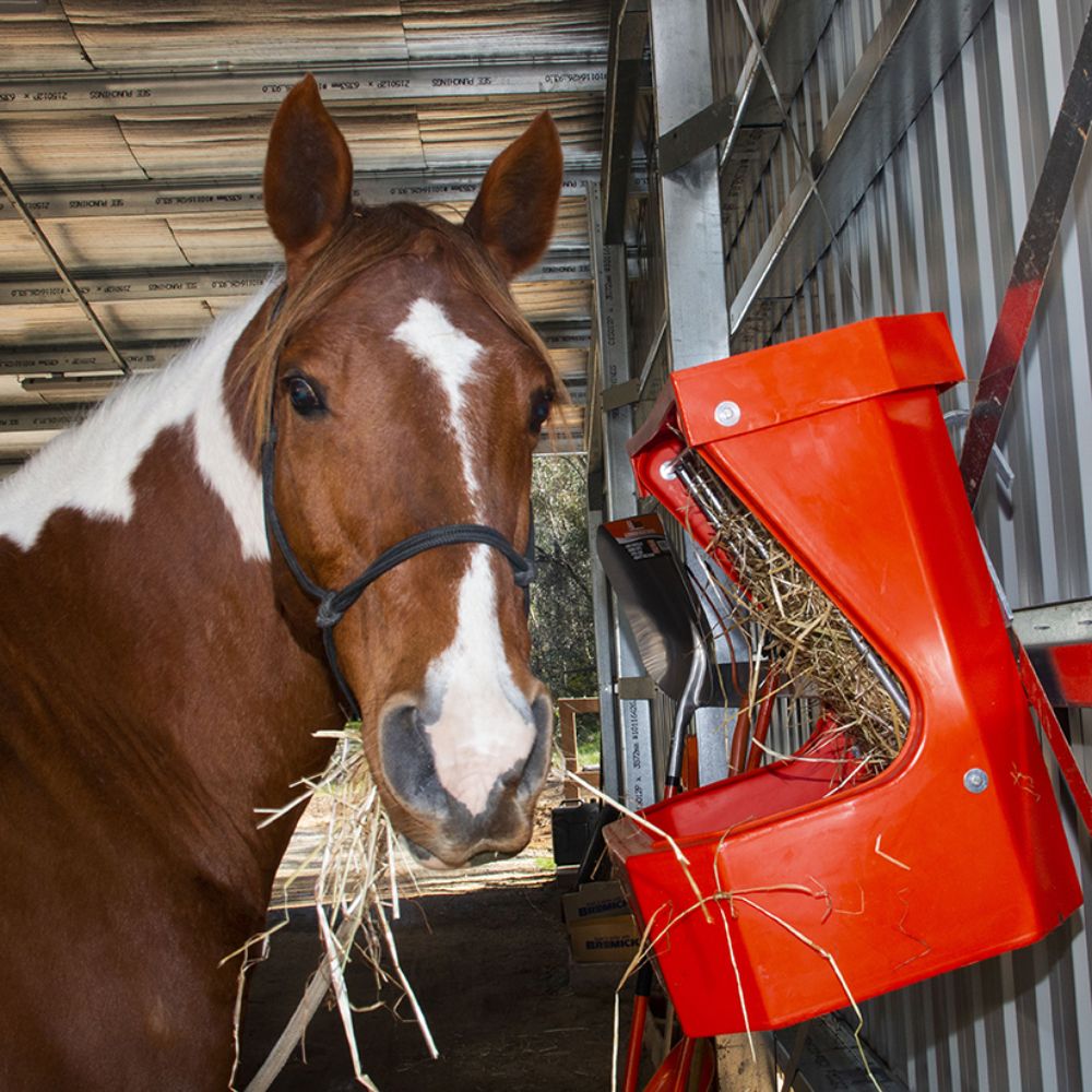 Horse eating hay from a red feeder in a stable