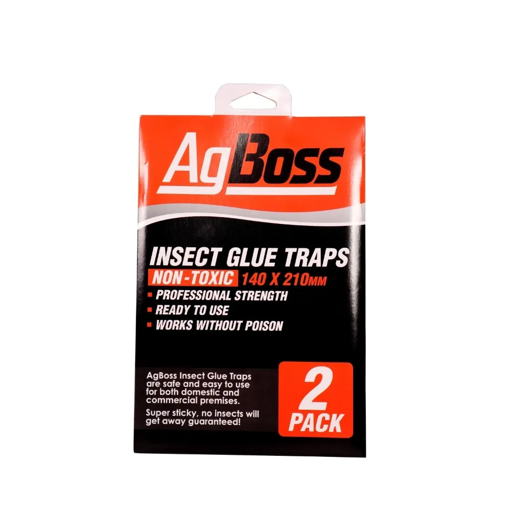 Insect Glue Traps