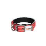 Dog Collar