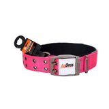 Dog Collar