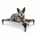 Blue Cattle Dog lying on a chew resistant elevated dog bed with a white background