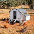 18898 - Animal Accessories - Chicken Coop with Pitched Roof Elevated Plastic Chook House - Small - Austral Ag