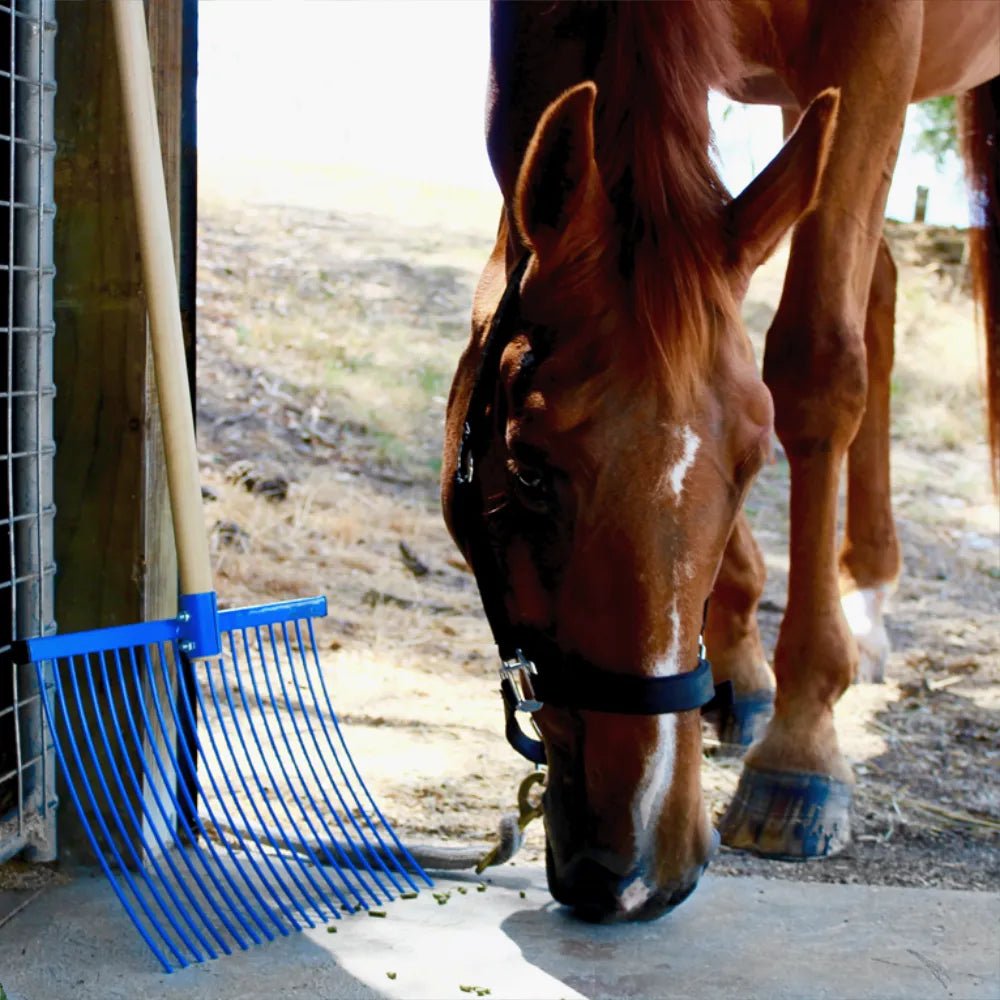 19036- Hardware-Millenia Stable Fork - Jumbo Rake-Red - Austral Ag