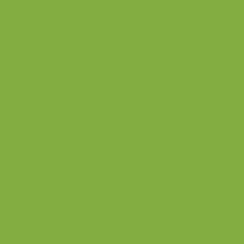 19063- Hardware-Millenia Tiller-Rake-Green - Austral Ag