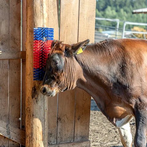 19100- Livestock-Happy Cow Multi-Use Scratch Brush-Extra Large - Austral Ag