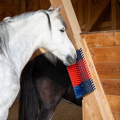 19100- Livestock-Happy Cow Multi-Use Scratch Brush-Extra Large - Austral Ag