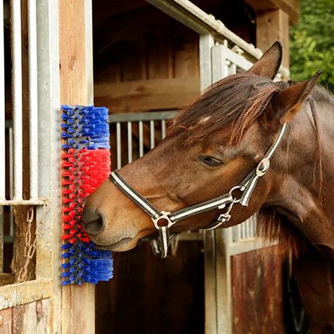 19100- Livestock-Happy Cow Multi-Use Scratch Brush-Extra Large - Austral Ag