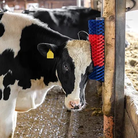 19100- Livestock-Happy Cow Multi-Use Scratch Brush-Extra Large - Austral Ag
