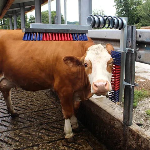 19101- Livestock-Happy Cow Scratch Brush - Standard - Austral Ag