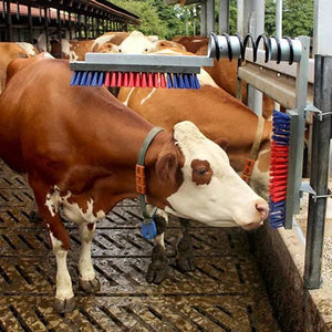 19101- Livestock-Happy Cow Scratch Brush - Standard - Austral Ag