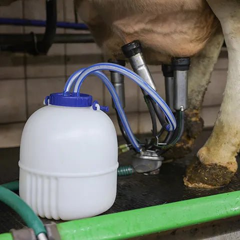 19113- Animal Health-Quarter Milker-12L - Austral Ag