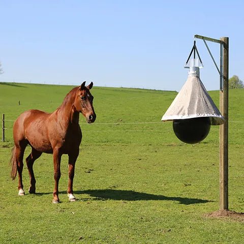 19241- Hardware-Horsefly Trap - TaonX - Austral Ag