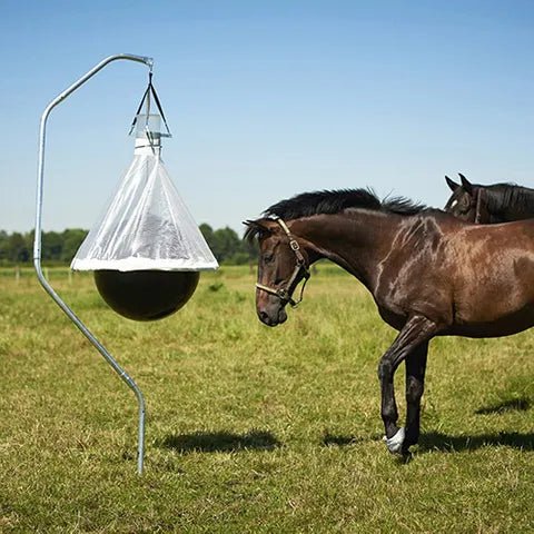 19241- Hardware-Horsefly Trap - TaonX - Austral Ag