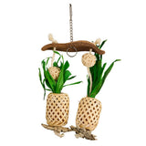 19268- Animal Accessories-Bird Toy - Naturals - Pineapple Paradise - Austral Ag