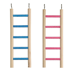 19307- Animal Accessories-Bird Ladder - Cement Grit-5 Step - Austral Ag