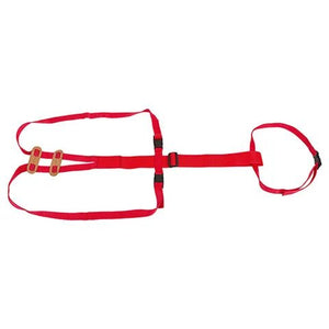19355- Animal Health-Sheep Prolapse Harness - Austral Ag