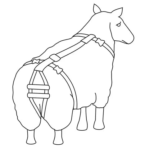 19355- Animal Health-Sheep Prolapse Harness - Austral Ag