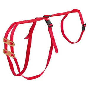 19355- Animal Health-Sheep Prolapse Harness - Austral Ag