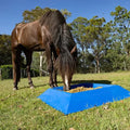 19375- Animal Accessories-Anti-Tip Trough Horse Feeder - 40L-Blue - Austral Ag