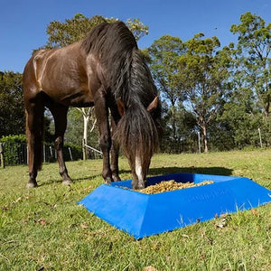 19375- Animal Accessories-Anti-Tip Trough Horse Feeder - 40L-Blue - Austral Ag
