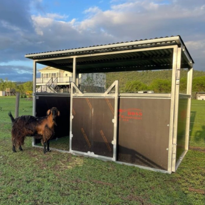 Horse Shelter - The Shetland  Beef Boss   